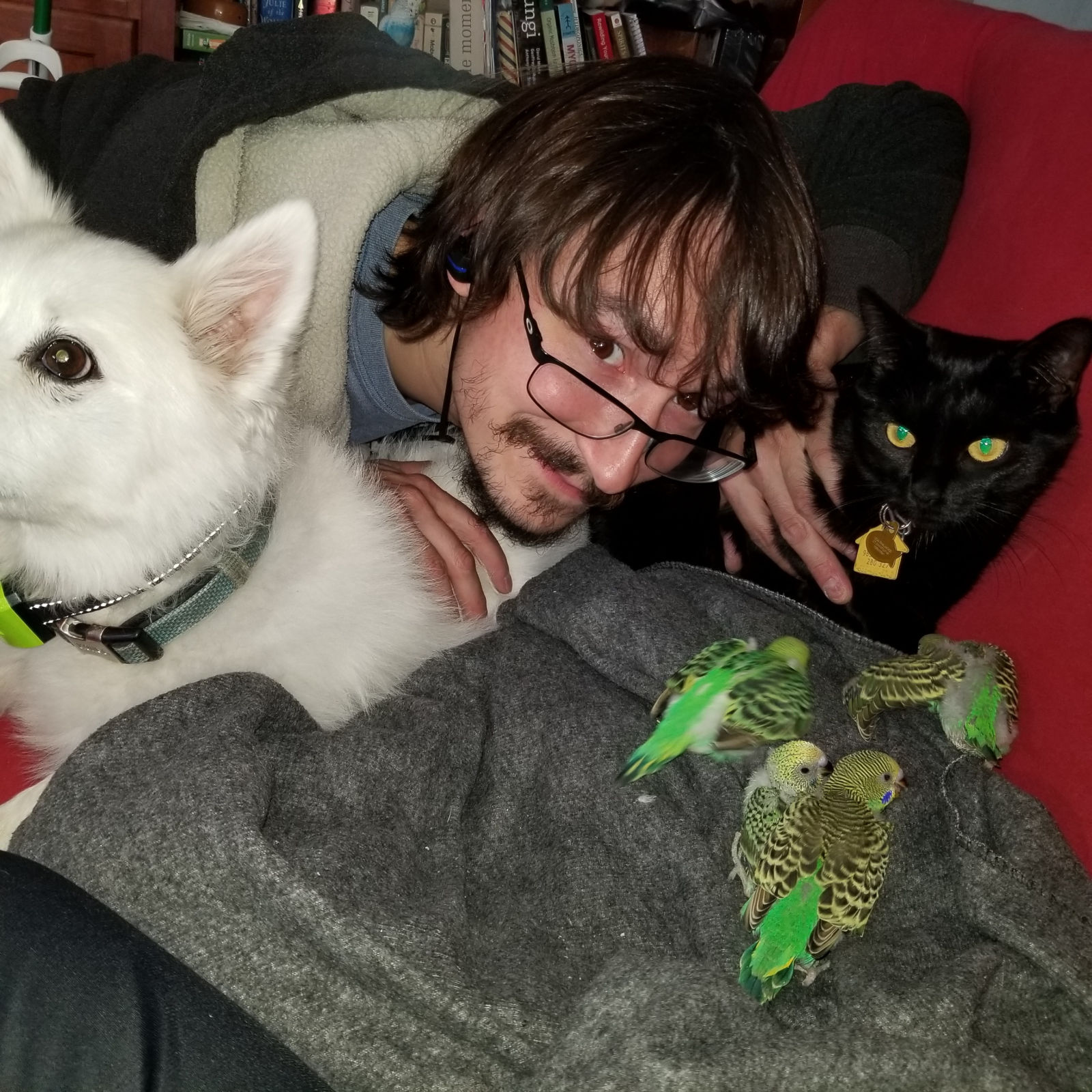 Man with white dog, black cat and parakeets on couch