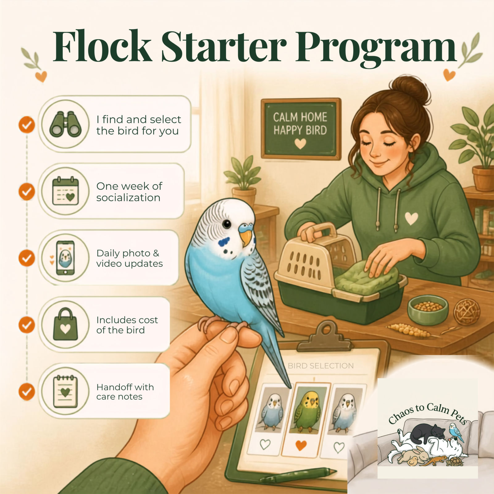 Flock Starter Program — Paola selects and socializes your budgie