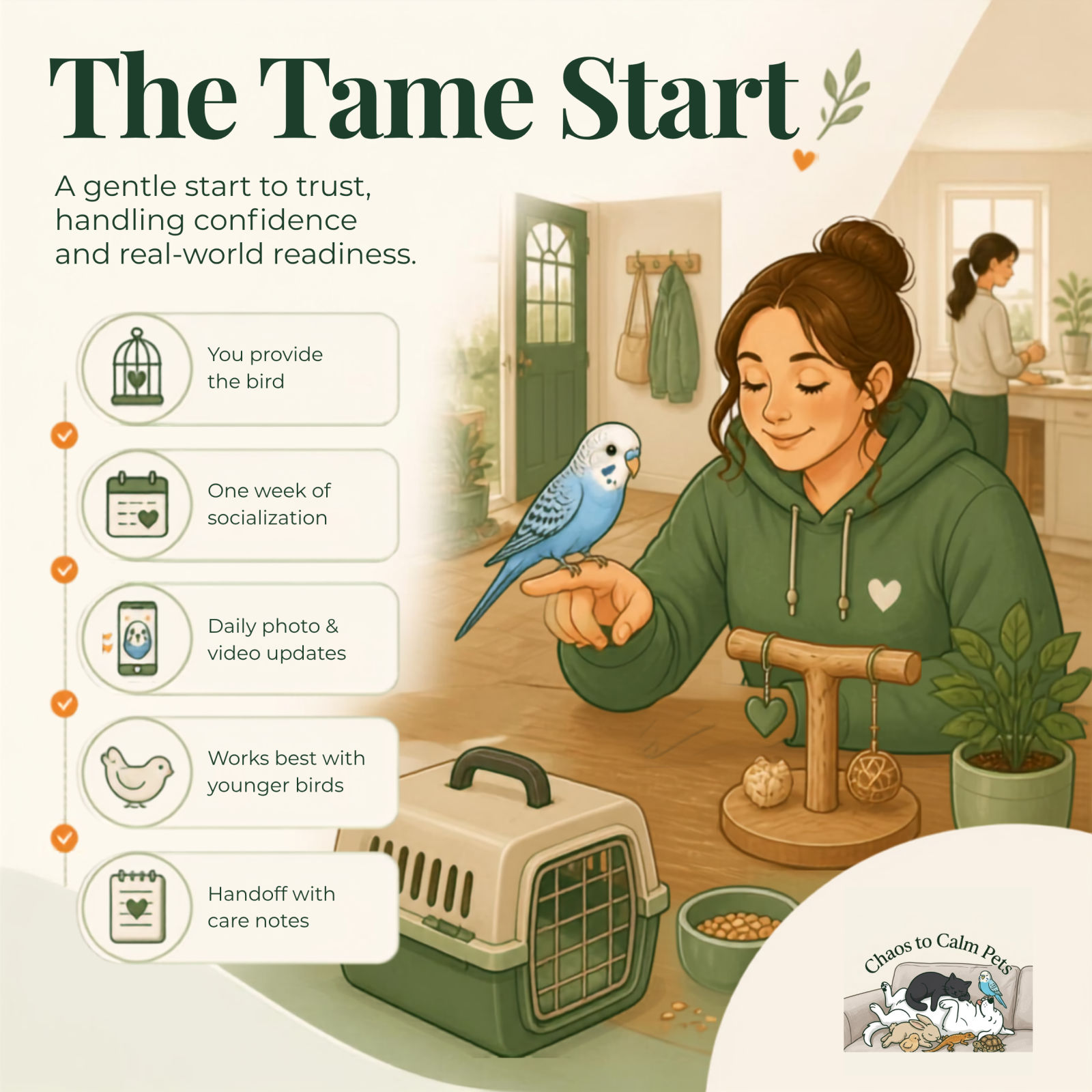The Tame Start — a gentle start to trust, handling confidence and real-world readiness