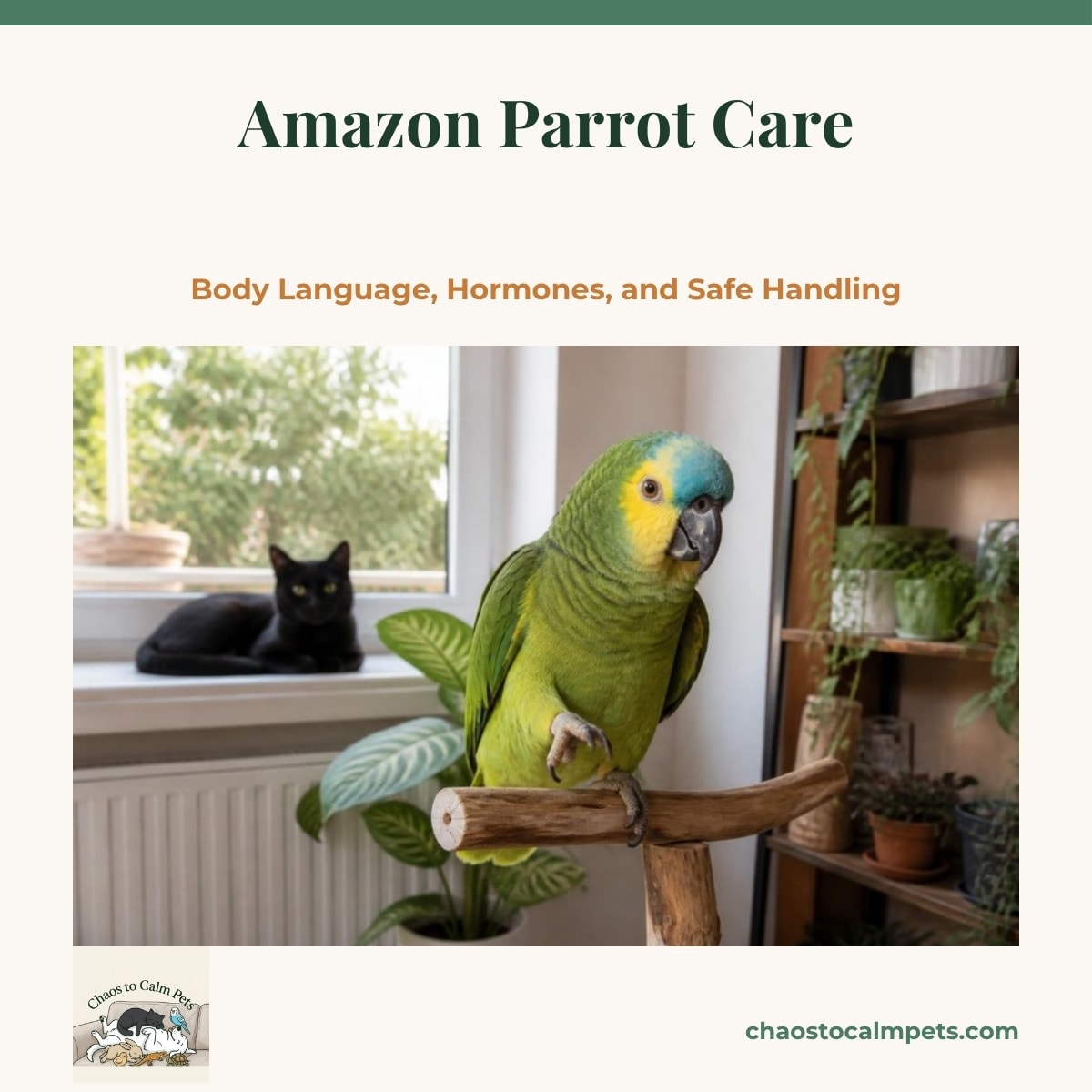 A green amazon parrot with a yellow nape fanning its tail on a wooden playstand, eyes pinned, with a dish of sweet potato and carrot chop on the stand tray and a shredded palm-leaf toy hanging from a stainless quick-link