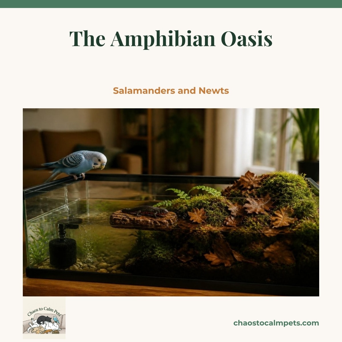 A long low paludarium with crystal-clear water on one side and damp moss and leaf litter on the other, an orange-bellied newt resting on a tethered cork raft, a sponge filter bubbling gently in the corner, and a blue budgie perched on the tank rim