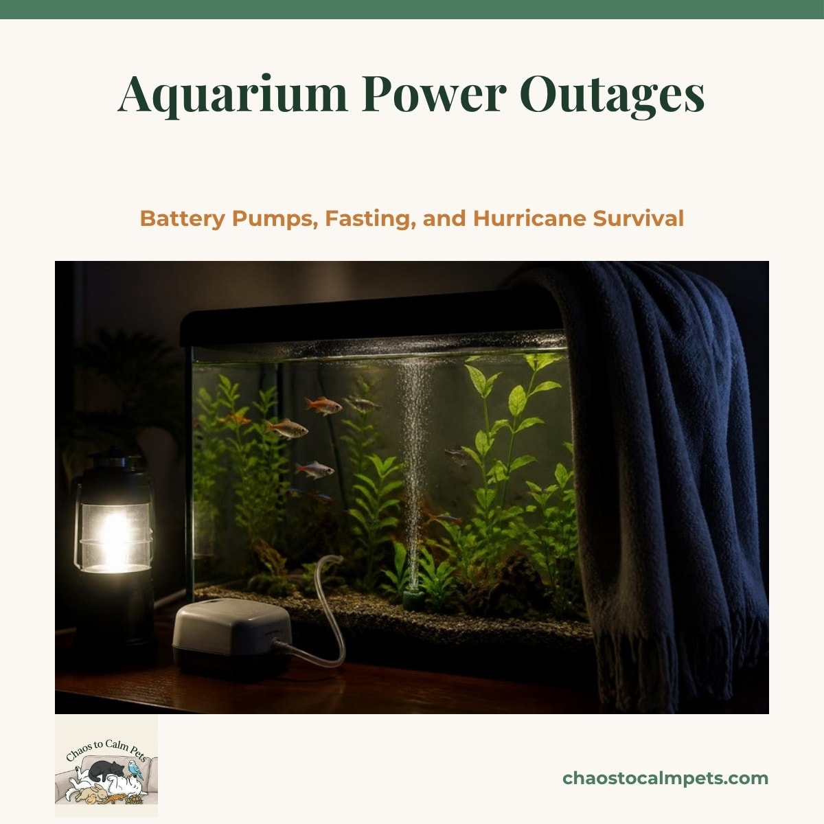 A dimly lit freshwater aquarium during a blackout, its sides wrapped in a wool blanket, with a small battery air pump on top and a stream of bubbles rising from an airstone among tetras and green plants