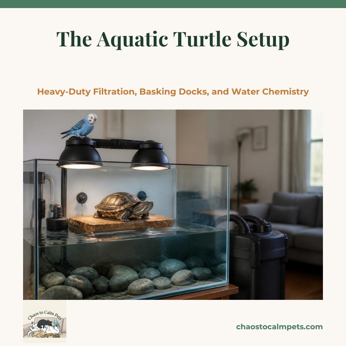 A big glass aquarium with a red-eared slider hauled out on a bone-dry floating dock under paired heat and UVB lamps, a large canister filter beside the stand, smooth river stones on the tank floor, and a blue budgie perched on the lamp hood