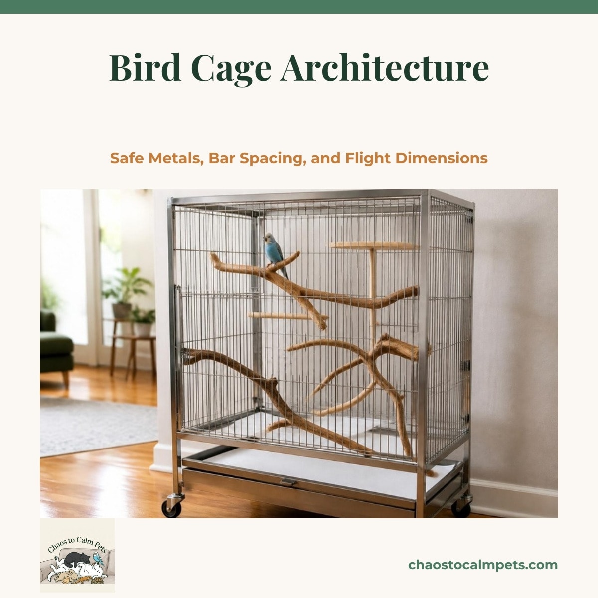 A wide rectangular stainless steel flight cage with natural manzanita and apple branches of different thicknesses, a flat resting ledge near the top, white paper on the pull-out tray, and a blue budgie perched on the highest branch in a corner away from the window