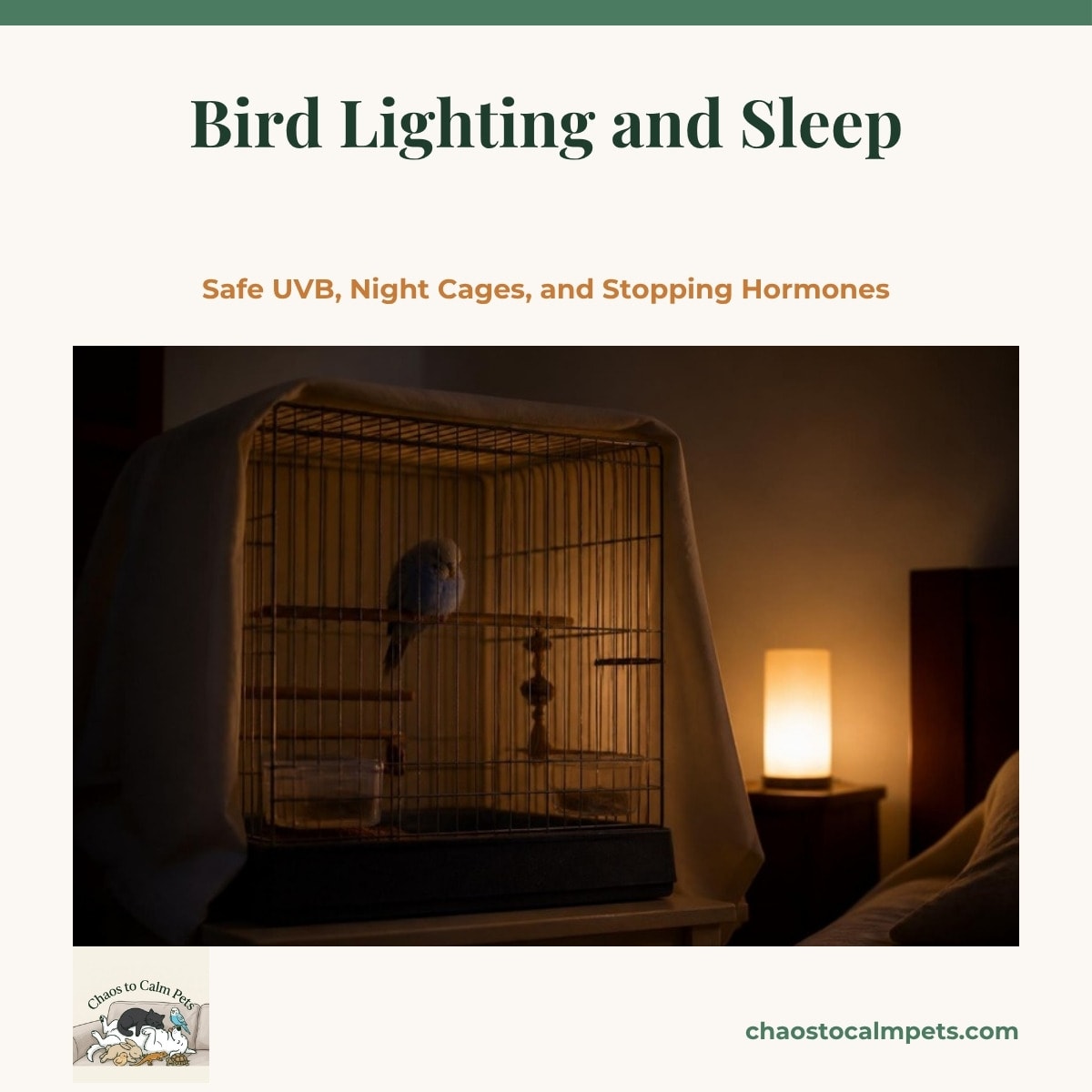 A small sleep cage in a dim bedroom with a single-layer cotton sheet draped over three sides, a dim night-light glowing in the corner, and a blue budgie settled on a high perch inside with its feathers fluffed for the night
