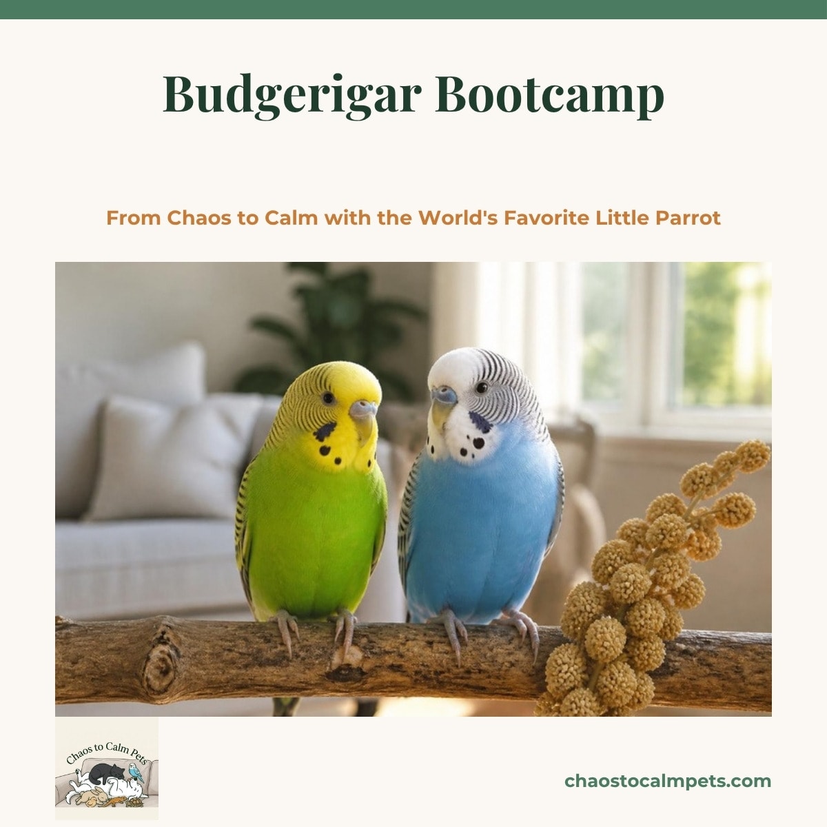 A green and yellow budgie and a blue budgie side by side on a flat wooden ledge in a wide flight cage, a dish of finely chopped greens dusted with millet beside them and a spray of millet hanging from the bars