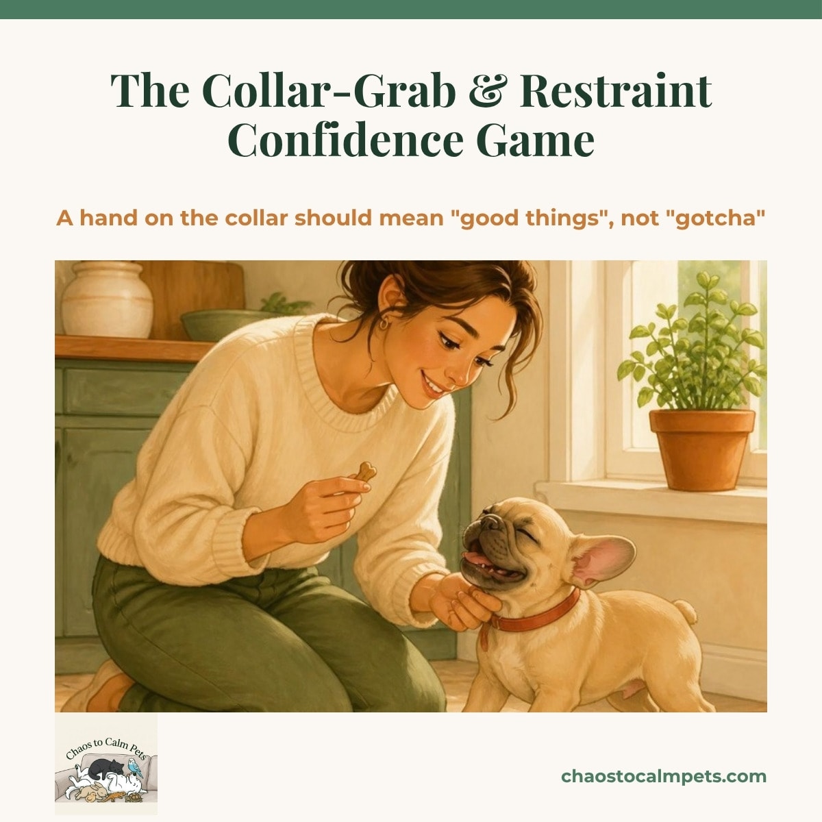 A liver-and-white springer spaniel puppy sitting calmly while a woman holds its collar with two fingers and offers a piece of chicken with the other hand, a lick mat on the floor beside them