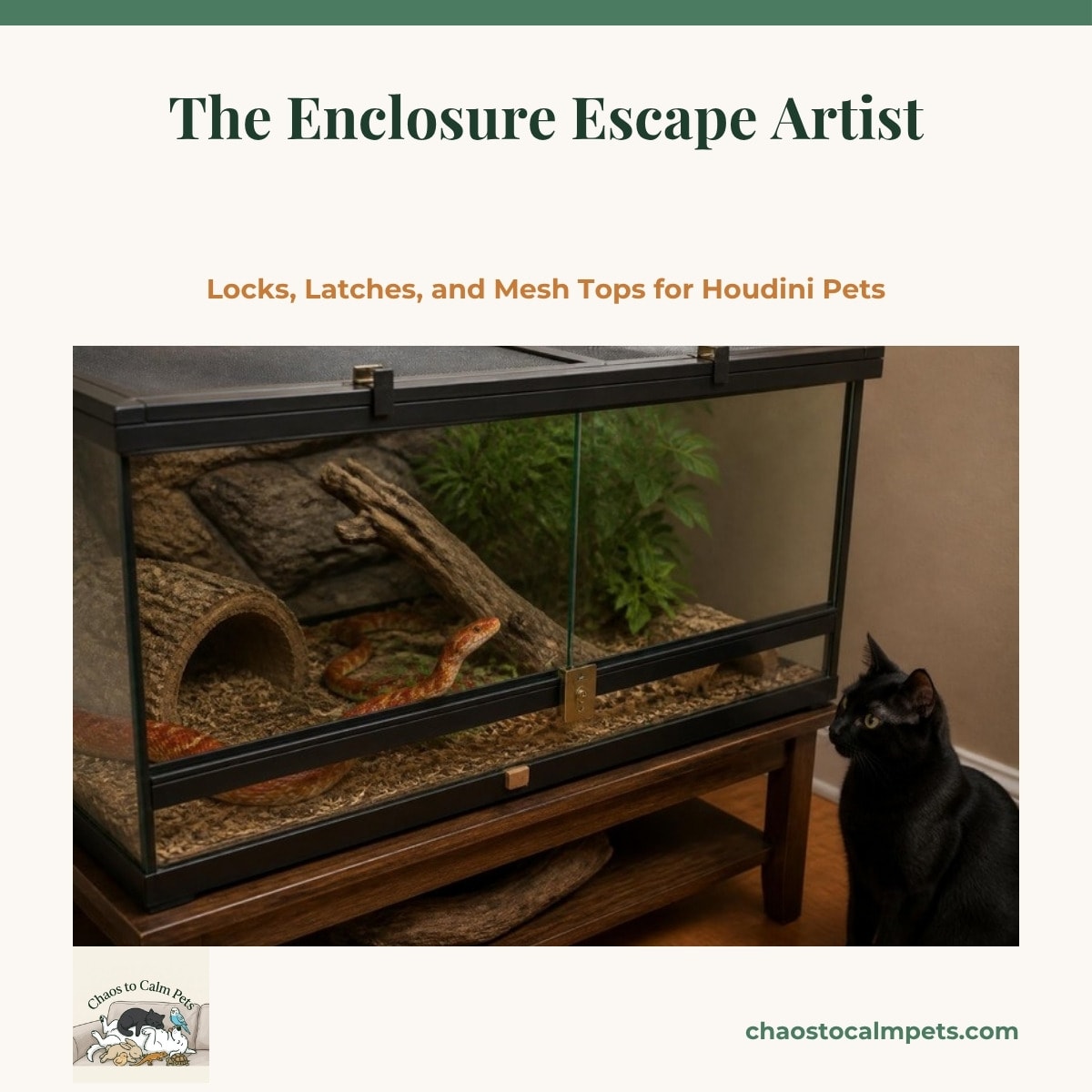 A front-opening terrarium with a brass glass-track lock clamping the sliding panes, four heavy metal screen clips on the mesh lid, a wooden blocking pin in the lower track, and a corn snake nosing the corner seam from inside, with a black cat sitting alertly on the floor beside the stand