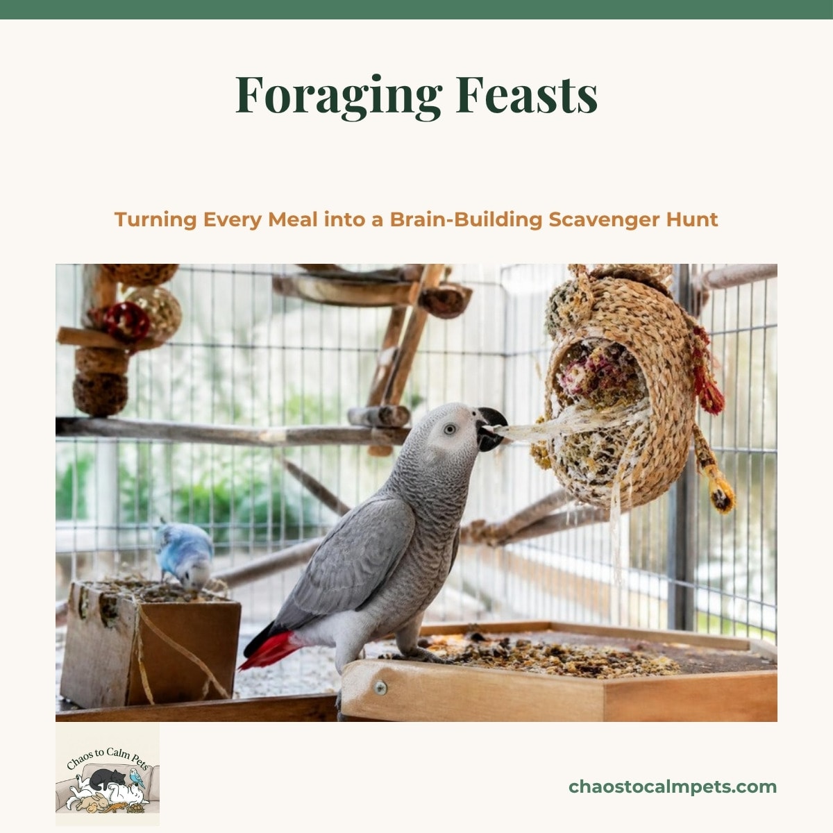 A pineapple green-cheek conure hanging from a stainless steel skewer threaded with carrot, broccoli and zucchini inside a large cage, a paper-covered food bowl and a seed-stuffed pinecone on the perches below