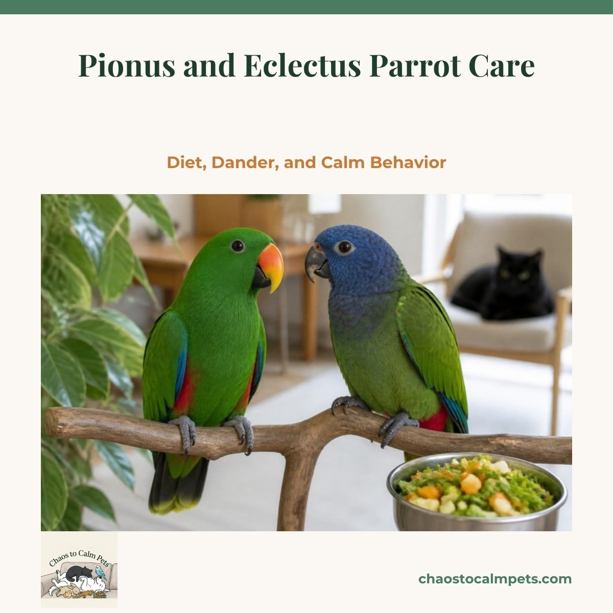 A red and blue female eclectus and a green male with an orange beak sharing a hanging bundle of hibiscus and nasturtium flowers, a blue-headed pionus on a branch beside them and a tray of papaya and squash chop below