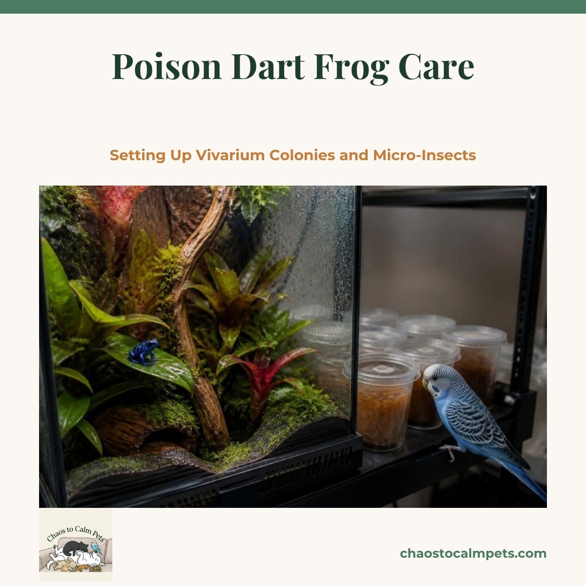 A tall misted glass vivarium with bromeliads and moss, a bright blue and black dart frog on a leaf, a row of fruit fly culture cups on the shelf beside it, and a blue budgie perched on the shelf edge looking in