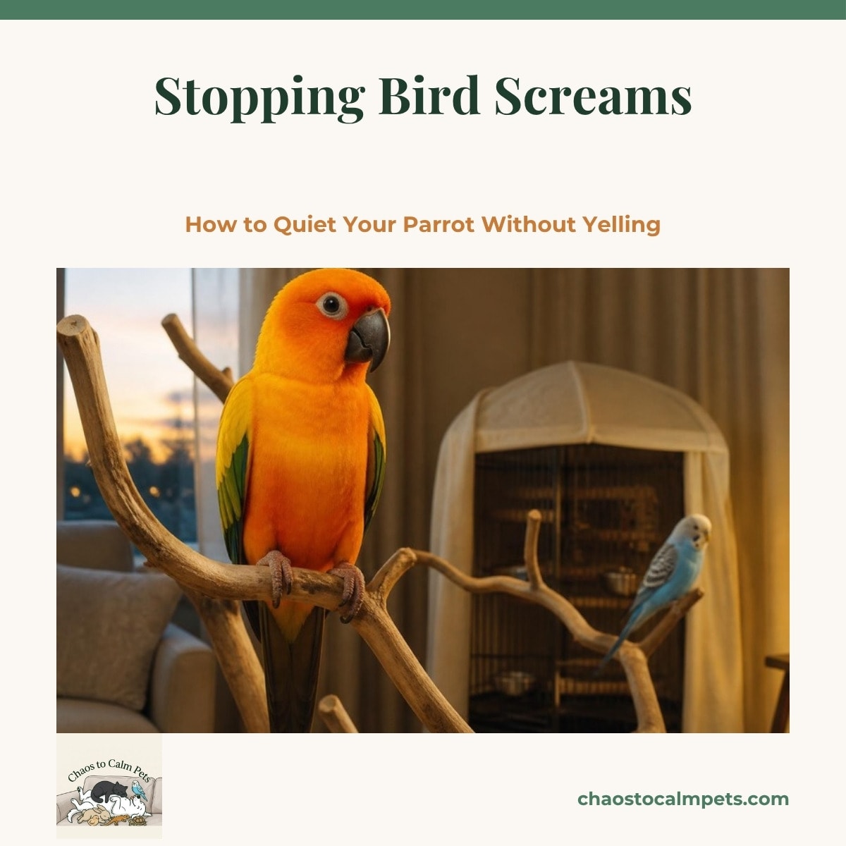 A yellow-crested cockatoo on a cage-top play gym shredding a cardboard foraging box packed with paper and seed, a small notebook and pen on the table nearby and late afternoon light through a window