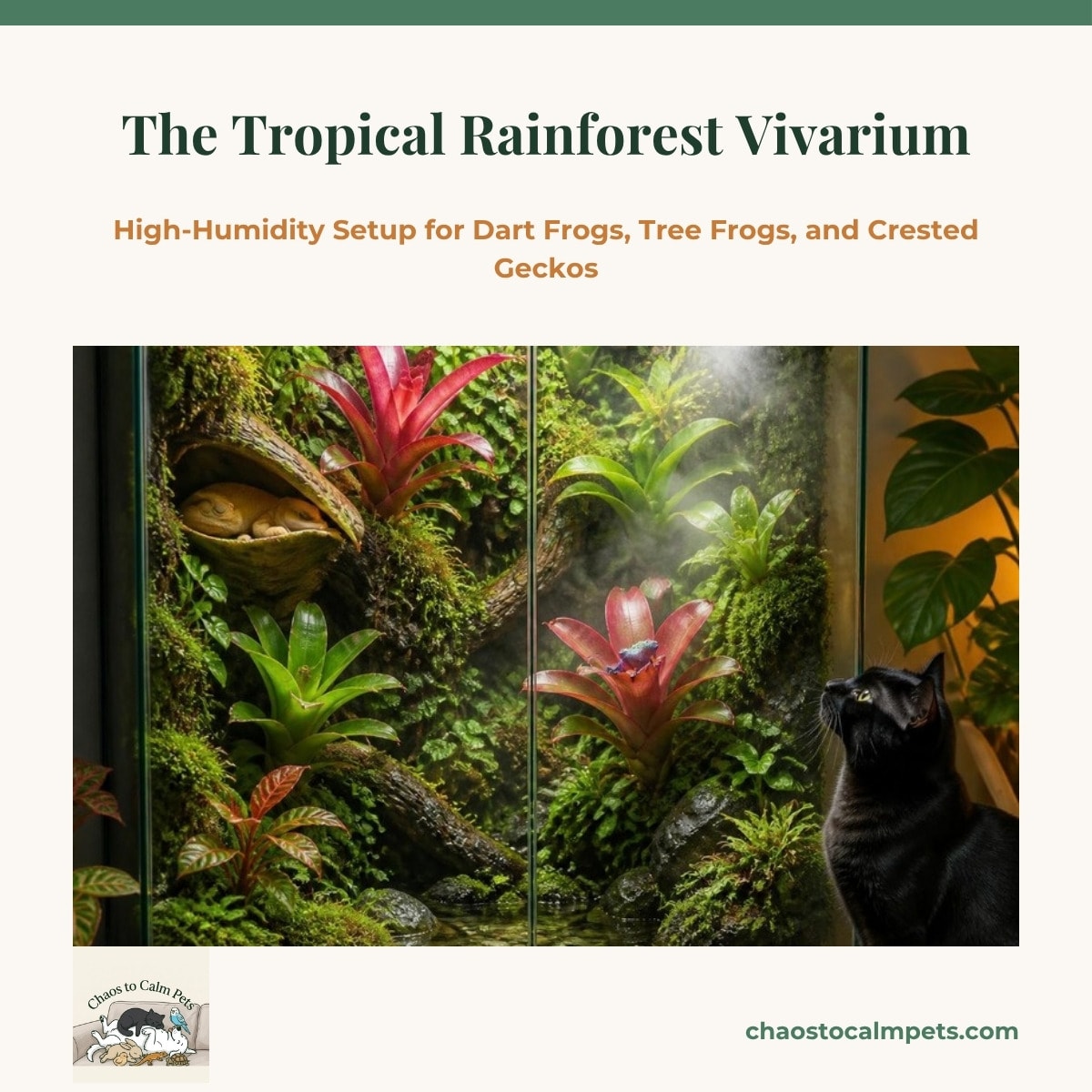 A tall front-opening glass vivarium thick with bromeliads, creeping fig, and moss over a shallow stone pool, a crested gecko asleep under a leaf and a bright dart frog on a bromeliad, mist drifting from a nozzle in the corner, and a black cat sitting beside the tank watching the mist