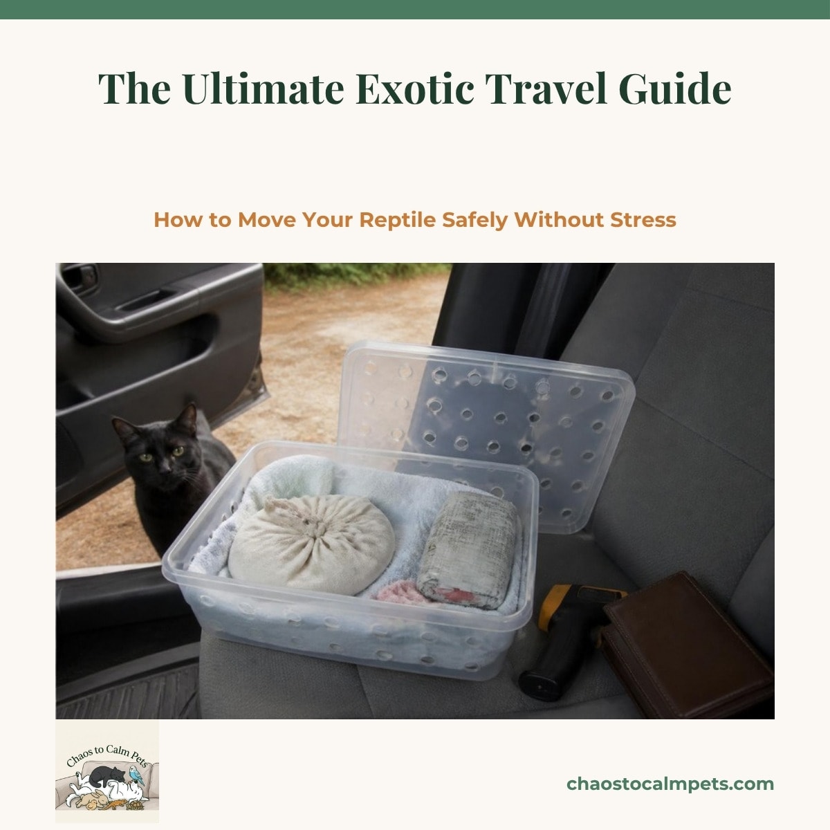 A ventilated plastic tub on a car seat with the lid open to show a tied canvas snake bag nestled in washcloths beside a reptile shipping heat pack wrapped in newspaper, a laser thermometer and a travel binder on the seat, and a black cat watching from the open car door